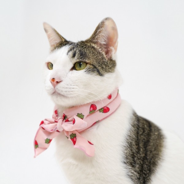 페오펫몰,펫프닝 강아지 쿨스카프 (딸기,계란,당근)