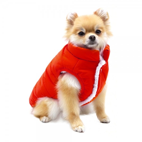 페오펫몰,도기패딩 베스트 강아지패딩 (4color)