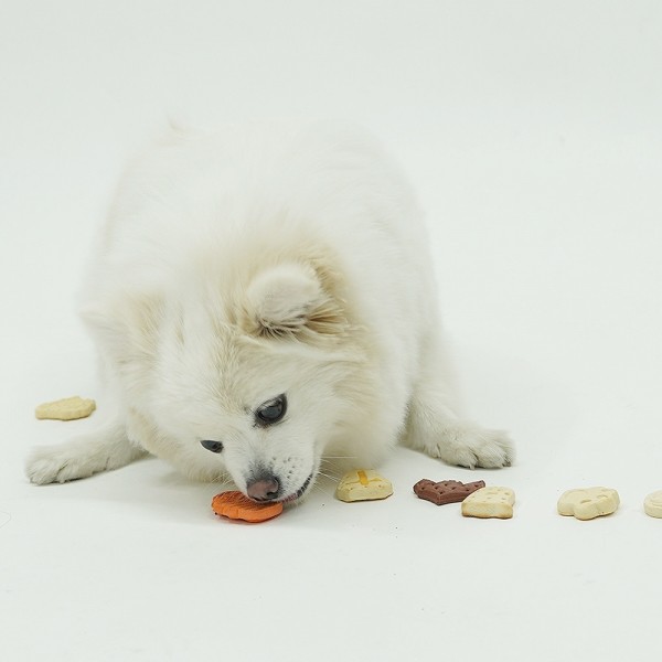 페오펫몰,강아지 바삭고소 밀크 쿠키 16p