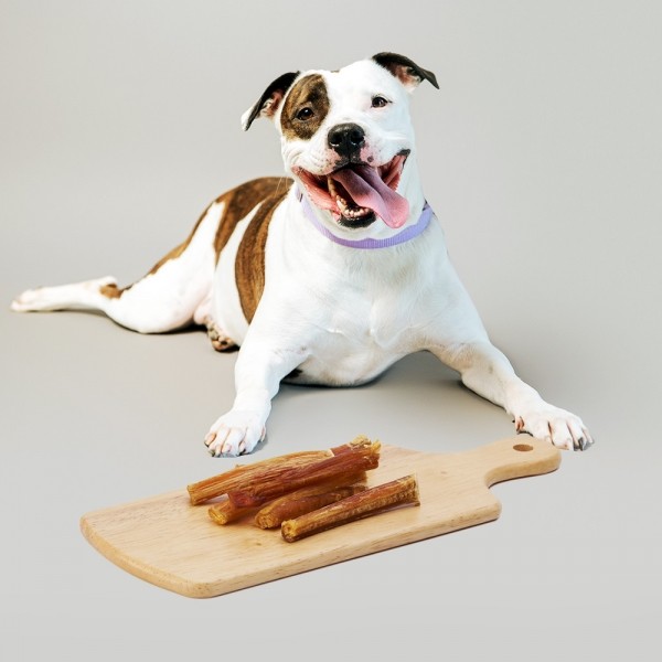 페오펫몰,[어바웃펫 X GS리테일] 근본 카우 불리스틱 M 10g X 10개