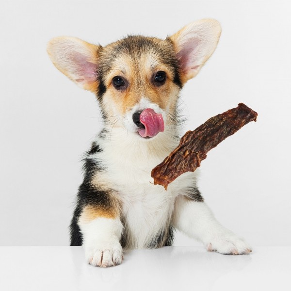 페오펫몰,[어바웃펫 X GS리테일] 근본 홀스스틱 육포 50g