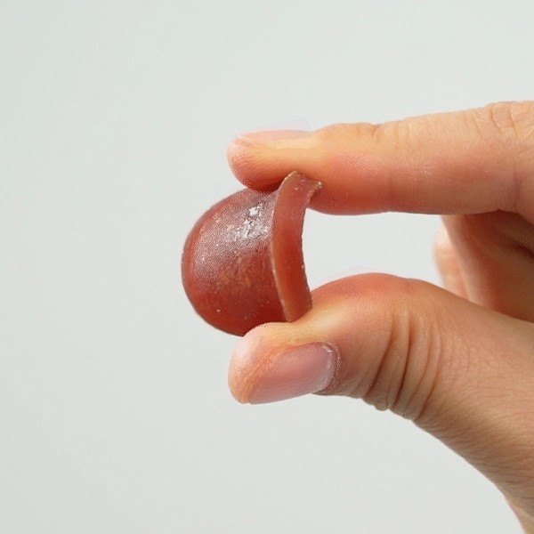 페오펫몰,[페슬러] 저스트져키 강아지 대용량 육포 간식 소고기 칩 454g