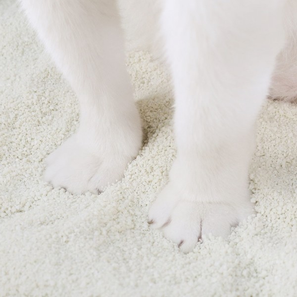 페오펫몰,페슬러 챔피언 카사바 고양이 모래 4.5kg x 3개입 (1박스)