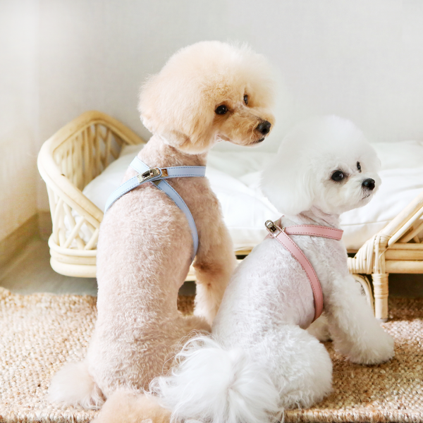 페오펫몰,아에뽀 하네스 셋트