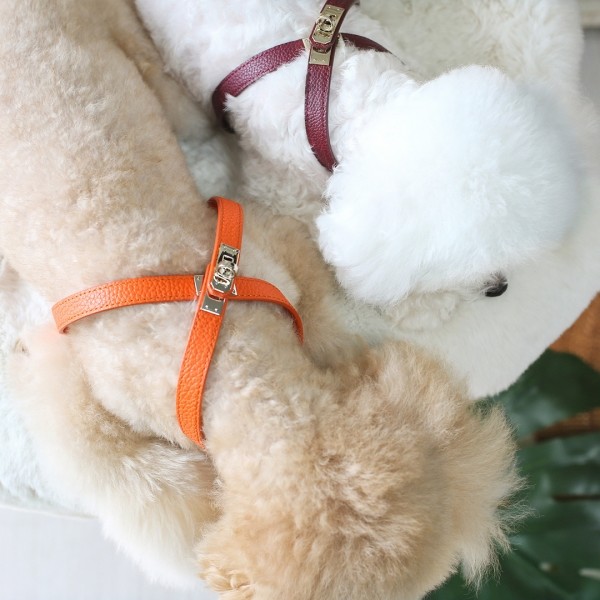 페오펫몰,아에뽀 하네스 셋트