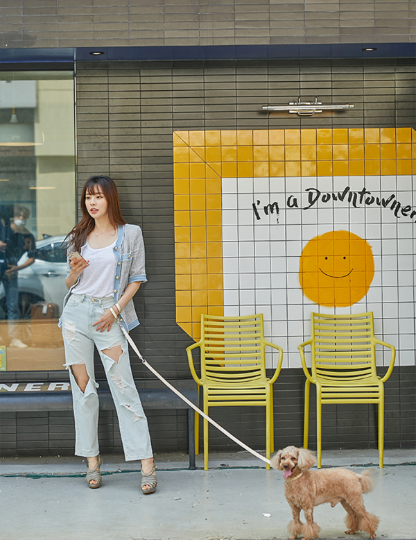 페오펫몰,아에뽀 하네스 셋트