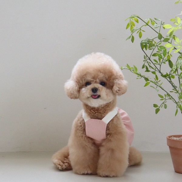 페오펫몰,[댕캉스특가] 쉬오트 러브썸 볼륨 오버롤 (핑크)