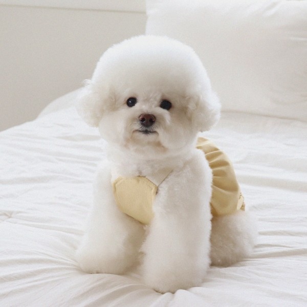 [댕캉스특가] 쉬오트 러브썸 볼륨 오버롤 (옐로우)