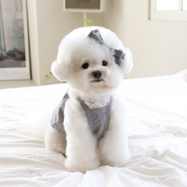 페오펫몰,[댕캉스특가] 쉬오트 베이비 벌룬 탑 (차콜)