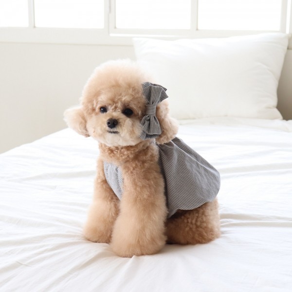 페오펫몰,[댕캉스특가] 쉬오트 베이비 벌룬 탑 (차콜)