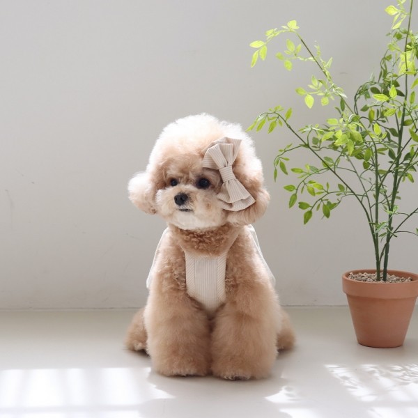 페오펫몰,[댕캉스특가] 쉬오트 베이비 벌룬 탑 (버터베이지)