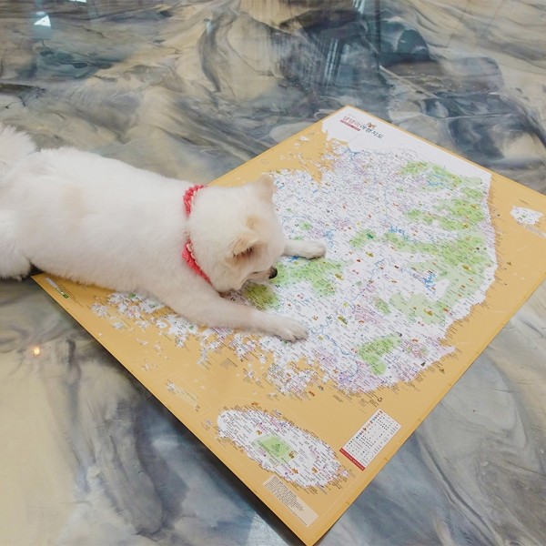 페오펫몰,[꽃길특가] 댕댕이 여행지도 세트 - 우리나라 전국 대한민국 관광지도