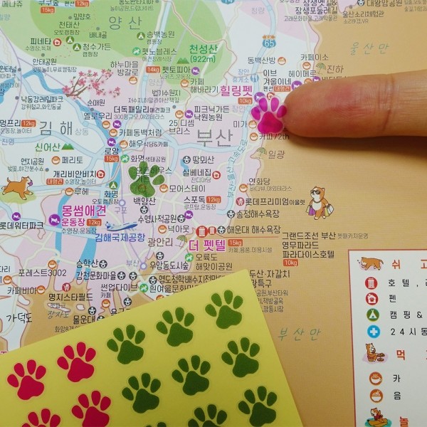 페오펫몰,[꽃길특가] 댕댕이 여행지도 세트 - 우리나라 전국 대한민국 관광지도