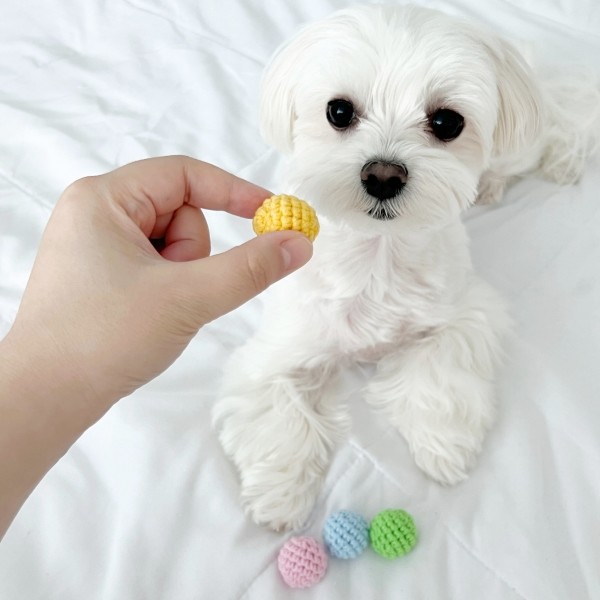 페오펫몰,강아지 고양이 뜨개 미니공 장난감
