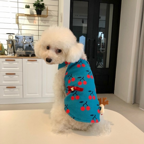 페오펫몰,치어펫 루돌프의 하루 / 크리스마스 강아지옷