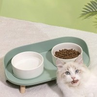 펫포에버 강아지 파스텔 식기 반려동물 식기 식탁