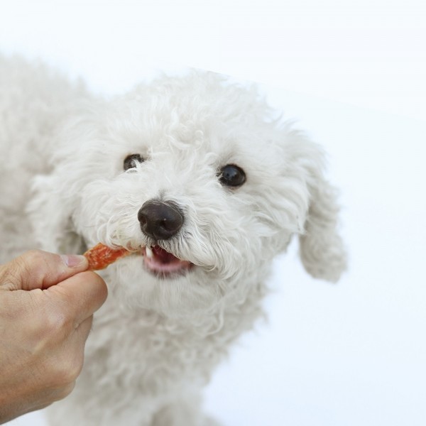 페오펫몰,[오래오래프로젝트] 깨끗한 육포 동결건조 닭가슴살 벌크형 (210g)
