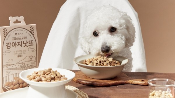 페오펫몰,[오래오래프로젝트] 장케어 천연발효식 강아지 낫또 30g