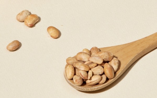 페오펫몰,[오래오래프로젝트] 장케어 천연발효식 강아지 낫또 30g