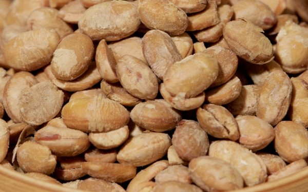 페오펫몰,[오래오래프로젝트] 장케어 천연발효식 강아지 낫또 30g