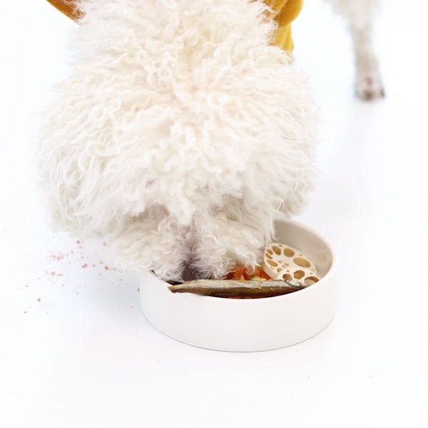 페오펫몰,[오래오래프로젝트] 초대용량 줄줄이스틱 열빙어 (16개입/160g) #낱개포장