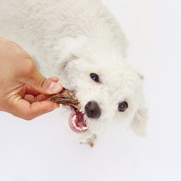 페오펫몰,[오래오래프로젝트] 깨끗한육포 오리목뼈 (210g)