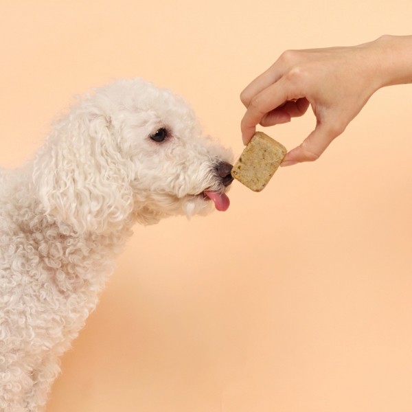 페오펫몰,[알로키친] 강아지 자연식 오메가비프 (소&오메가3) 16개입 (64g) #피부모질 #항산화