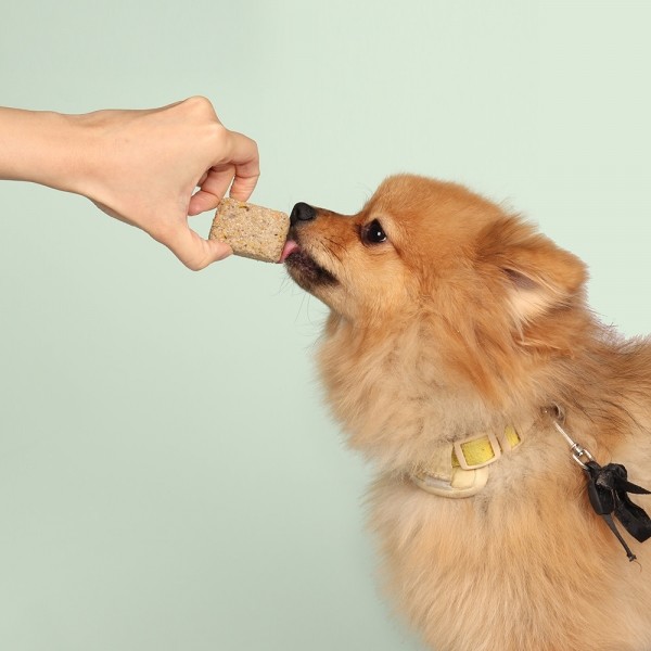 페오펫몰,[알로키친] 강아지자연식 키드니튜나 (참치&밀크시슬) 16개입 (64g) #저단백인칼륨 #신부전 #신장