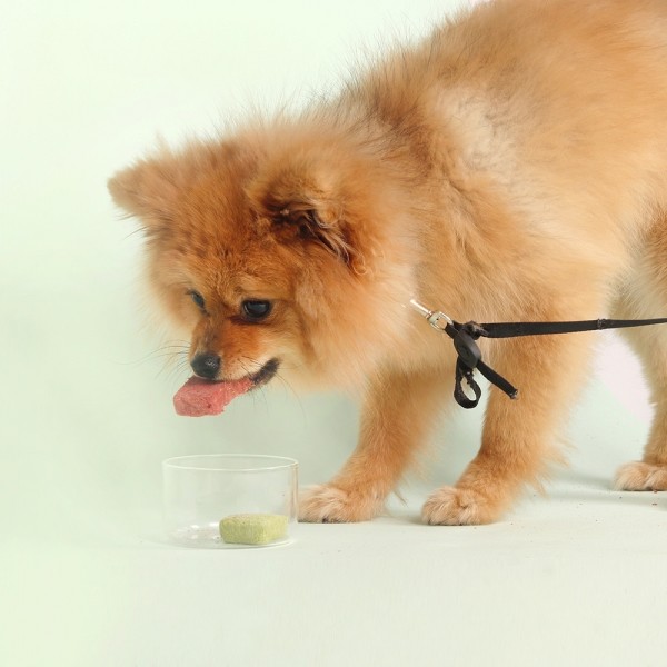 페오펫몰,[알로키친] 강아지자연식 키드니튜나 (참치&밀크시슬) 16개입 (64g) #저단백인칼륨 #신부전 #신장