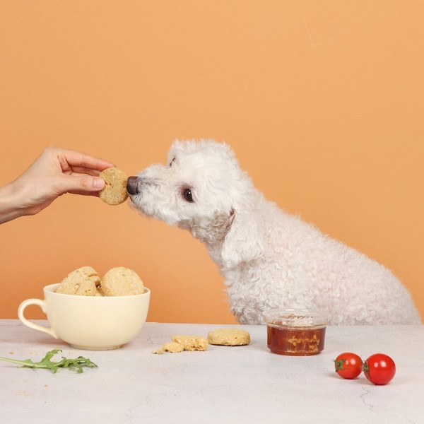 페오펫몰,[알로키친] 강아지자연식 올인원포크(돼지&프로폴리스) 15개입 (90g) #슬개골 #기관지 #항산화 #베이스패티