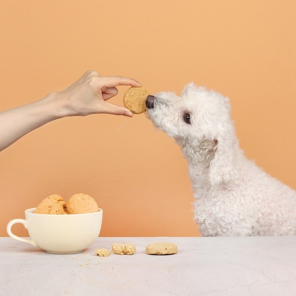 페오펫몰,[알로키친] 강아지자연식 올인원포크(돼지&프로폴리스) 15개입 (90g) #슬개골 #기관지 #항산화 #베이스패티