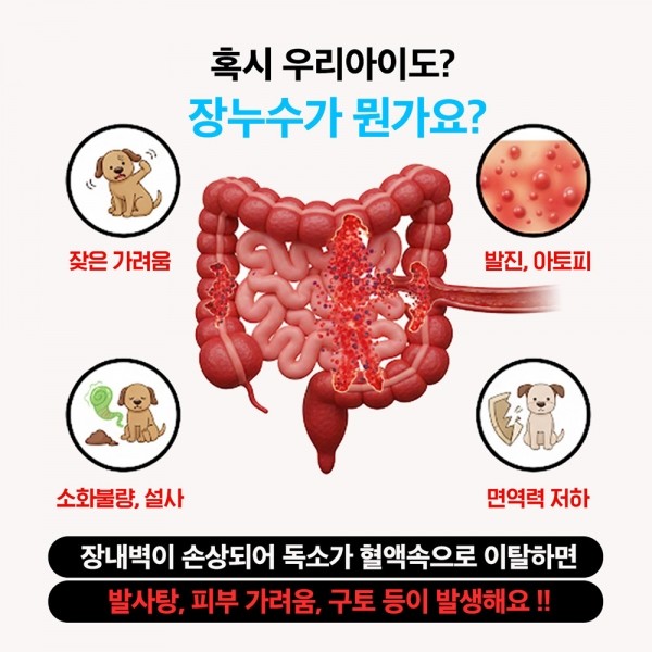 페오펫몰,[알로키친] 강아지 눈물 유산균 이너플로우 750억 포스트프로바이오틱스