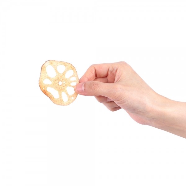 페오펫몰,[2개세트] 알로키친 알로칩스 유기농 연근칩