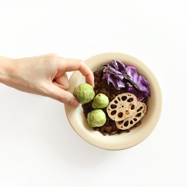 페오펫몰,[2개세트] 알로키친 알로칩스 적양배추칩