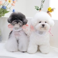 에덴숑 노블 워크 하네스 (Noble Walk Harness) - 화이트