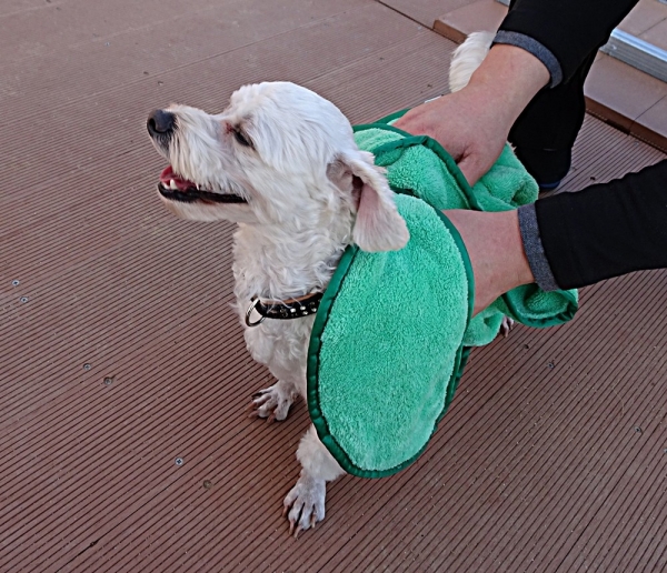 페오펫몰,극세사 케어타월 타올 수건, 펫 강아지 고양이, 70x26.5cm, 75x32cm, 80x40cm