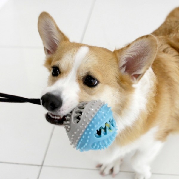 페오펫몰,제이코 강아지 터그놀이 이갈이 볼토이장난감