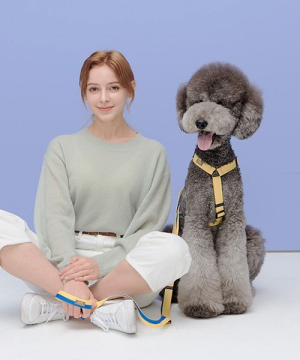 페오펫몰,[SPEL] 스펠 항공 TY하네스 세트 YELLOW (하네스+2m 리드줄)