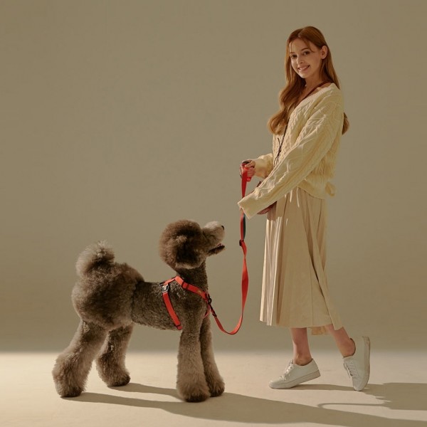 페오펫몰,[SPEL] 스펠 앞섬TY하네스 세트 YELLOW (하네스+2.5m 리드줄)