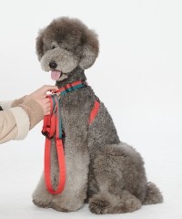 [SPEL] 스펠 앞섬TY하네스 세트 RED (하네스+2.5m 리드줄)