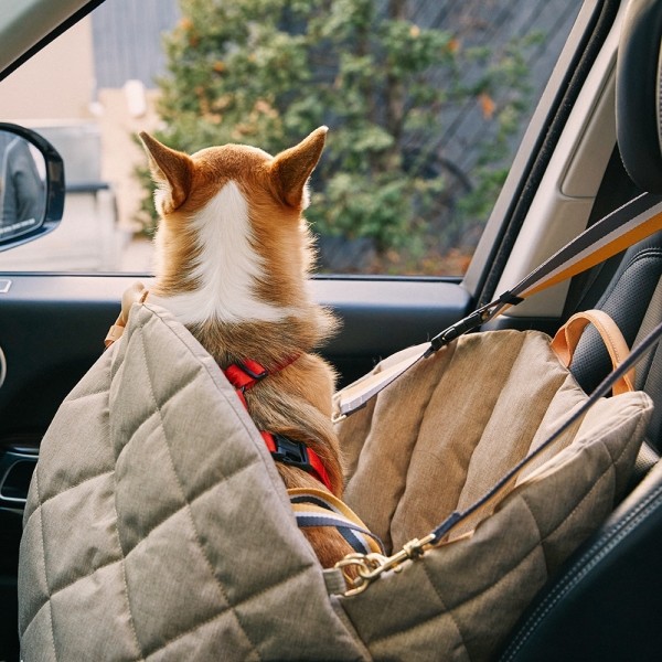 페오펫몰,[SPEL] 스펠 튤립 카시트