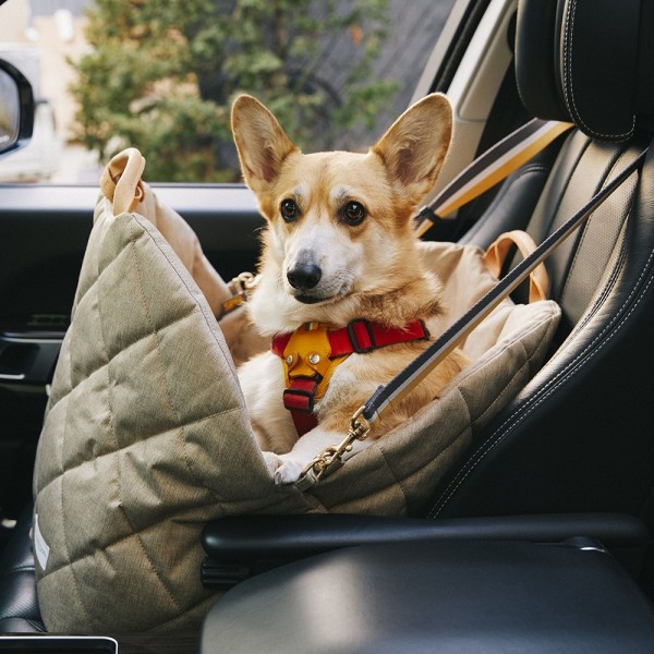 페오펫몰,[SPEL] 스펠 튤립 카시트