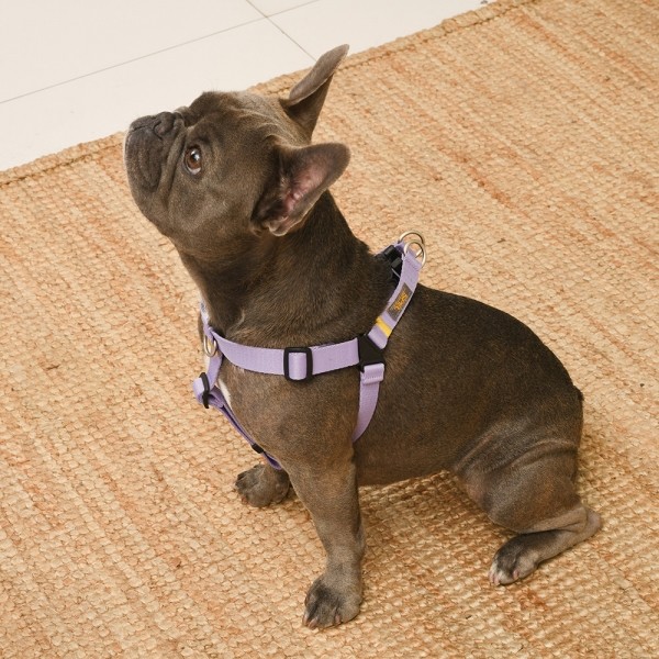 페오펫몰,[SPEL] 스펠 착!하네스 ver2 라벤더 (LAVENDER)