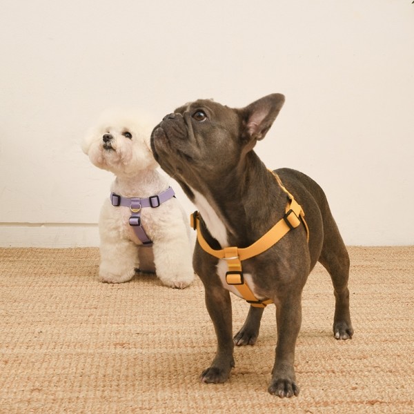 페오펫몰,[SPEL] 스펠 착!하네스 ver2 라벤더 (LAVENDER)