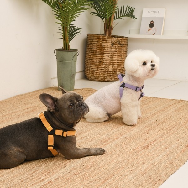 페오펫몰,[SPEL] 스펠 착!하네스 ver2 라벤더 (LAVENDER)