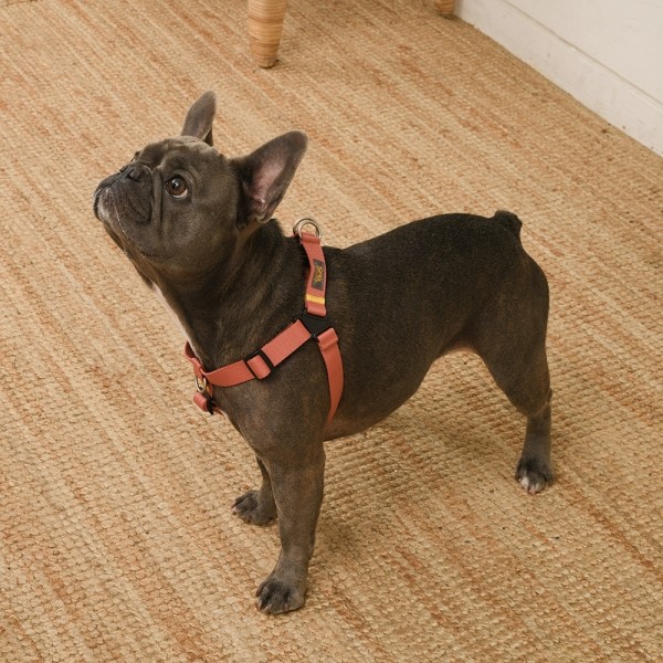 페오펫몰,[SPEL] 스펠 착!하네스 ver2 핑크 (PINK)