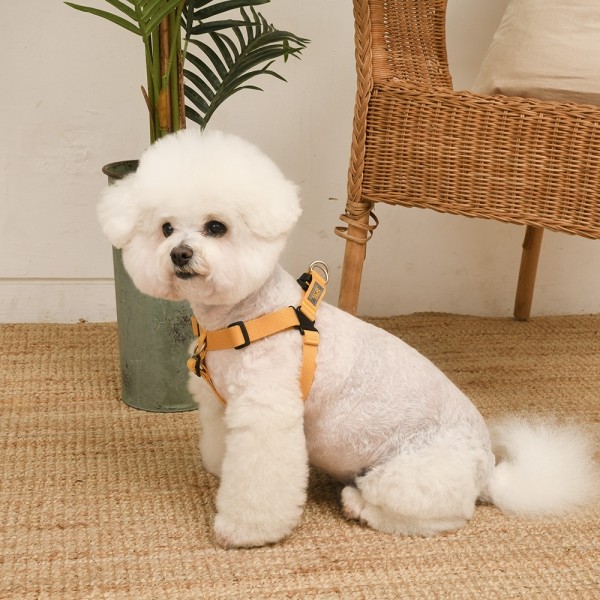 페오펫몰,[SPEL] 스펠 착!하네스 ver2 옐로우 (YELLOW)