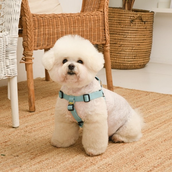 페오펫몰,[SPEL] 스펠 착!하네스 ver2 SET 민트 (MINT)