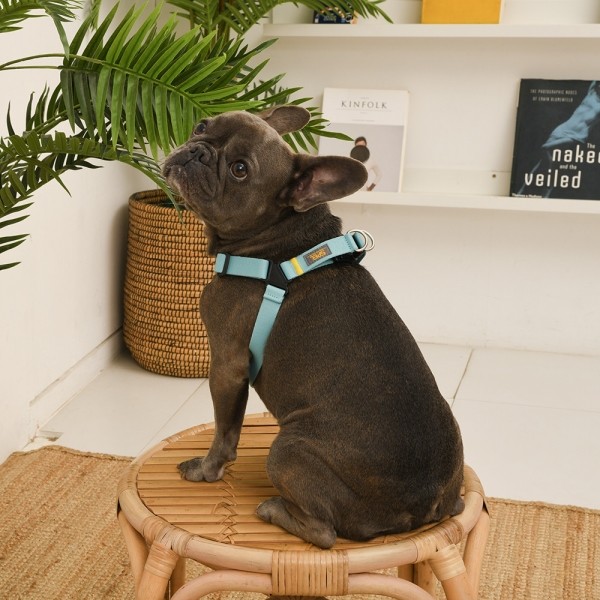 페오펫몰,[SPEL] 스펠 착!하네스 ver2 SET 민트 (MINT)