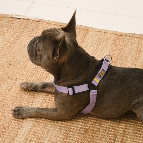 페오펫몰,[SPEL] 스펠 착!하네스 ver2 SET 라벤더 (LAVENDER)